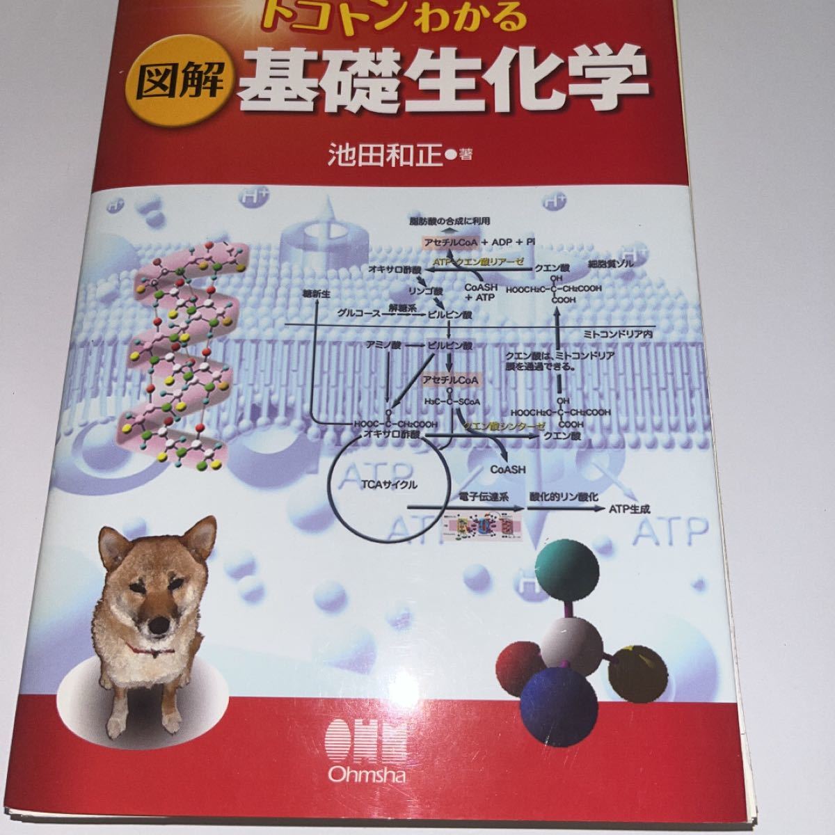 犬と猫の検査・手技ガイド2019 【裁断済】 理学、工学 農学 www.pastai.com