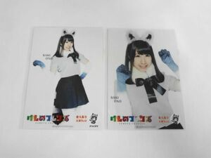 AN21-346 けものフレンズ ブロマイド 生写真 小野早稀 グッズ どうぶつ 2枚 セット