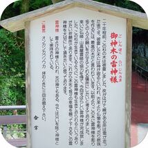 令和4年6月10日今年最後の超大開運日！天赦日・一粒万倍日に参拝購入！南蔵院限定オリジナル最高級品御神木念珠ブレス　雷神様　縁起物御守_画像5