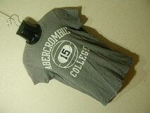 ssy5098 Abercrombie & Fitch 半袖 Tシャツ カットソー グレー ■ フロントプリント ■ クルーネック Sサイズ アバクロ_画像1