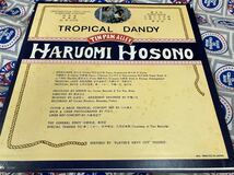 細野晴臣★中古LP国内プロモ白レーベル盤「Tropical Dandy～トロピカル・ダンディ」_画像2