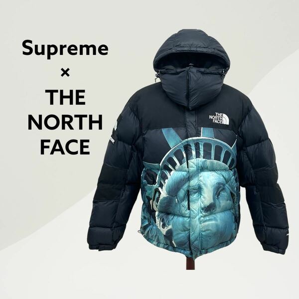 Supreme 19AW The North Face Statue of Liberty Baltoro Jacket シュプリーム ノースフェイス 自由の女神 バルトロ ダウンジャケット