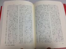 ●P231●王倫の三跳躍●アルフレートデーブリーン●小島基●白水社●1991年●中国小説●真弱教団破瓜集団皇帝乾隆●即決_画像5