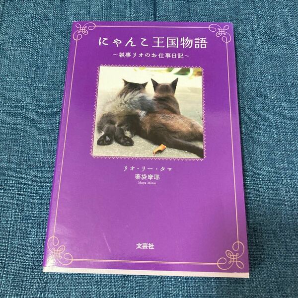 にゃんこ王国物語　執事リオのお仕事日記 リオ・リー・タマ／著　薬袋摩耶／著