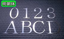 【ステンレス製 磨き仕上！】★切文字パネル/切り抜き文字【1文字】★アルファベット（A～Z）数字（0～9）/大文字・Lサイズ・明朝体_画像1