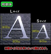 【ステンレス製 磨き仕上！】★切文字パネル/切り抜き文字【1文字】★アルファベット（A～Z）数字（0～9）/大文字・Sサイズ・明朝体_画像3