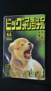 ビッグコミックオリジナル 2007年6月5日号 no.11 尾瀬あきら/森栗丸/西岸良平/水島新司/他 MS220926-014