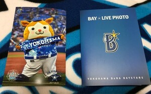 横浜DeNAベイスターズ BAY-LIVE PHOTO スターマン2017.8.3 ハマスタ当日限定オフィシャル写真 ライブフォト スターナイト限定