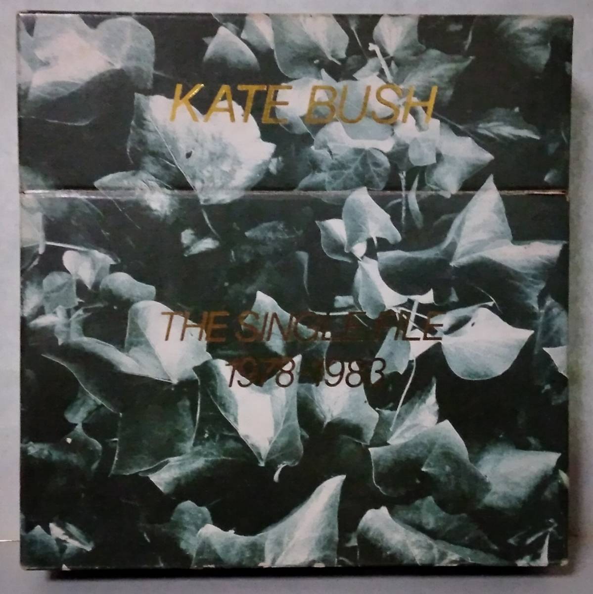 2025年最新】Yahoo!オークション -kate bush boxの中古品・新品 2025年最新】Yahoo!オークション -kate bush boxの中古品・新品