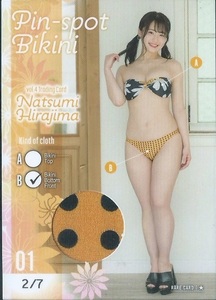 平嶋夏海　vol.4　トレーディングカード　　ピンスポビキニカード　　Pin-spot Bikini　01 B　　７枚限定