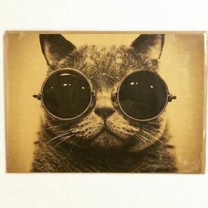 ポスター「猫　ネコ　サングラス」