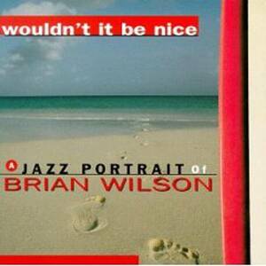 貴重廃盤 Wouldn't It Be Nice: Brian Wilson Jazz Portrait 日本国内盤帯付き　邦題 ステキじゃないか　don grusin yellow jacket 