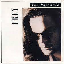 名盤 Joe Pasquale Prey　AOR breeze best selection cool summerにも収録された曲　高音質クリアサウンドにしびれます