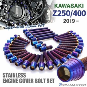 Z250/400 2019年～ エンジンカバーボルト 33本セット ステンレス製 テーパーシェルヘッド カワサキ車用 焼きチタンカラー TB8678