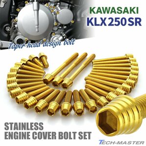 KLX250SR エンジンカバー クランクケース ボルト 30本セット ステンレス製 テーパーシェルヘッド ゴールドカラー TB8702の画像1