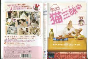 ■C4617 R落DVD「猫びよりpresents 猫三昧」ケース無し ナレーション：はな レンタル落ち
