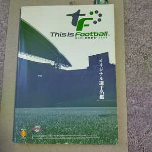 【PS2】 This Is Football サッカー世界戦記2003