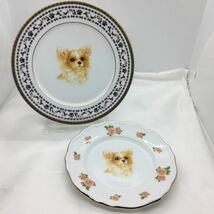 ロングコートチワワ プレート 大皿 飾皿 飾り皿 金彩 デザート皿 食器 犬ドッグroyal dog 日本製 kyoshinkakou 新品 肉球 おしゃれ セット_画像2