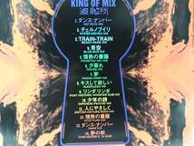 THE BLUE HEARTS リミックス「KING OF MIX 盗賊団」即決♪ 小西康陽 CMJK 福富幸宏 他 rbs_画像2