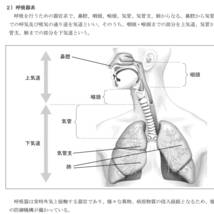 テキストは図が多く、分かりやすいです。