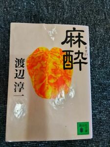 麻酔　渡辺淳一　中古