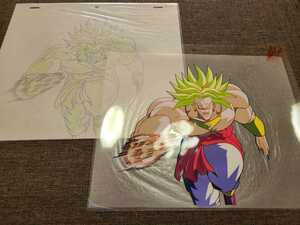 【お宝】DRAGON BALL　ブロリー　セル画　直筆動画付き！検　鳥山明　ドラゴンボール