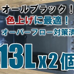 台風、夕立も安心！スマートバルブでオーバーフロー対策済み飼育容器NVボックス13L2個(ブラック)