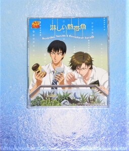ヤフオク テニプリ キャラソンの中古品 新品 未使用品一覧 ヤフオク テニプリ キャラソンの中古品 新品 未使用品一覧