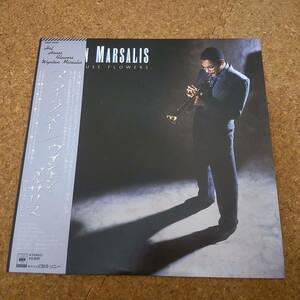 長|LP 帯付 ウィントン・マルサリス[Wynton Marsalis]｜Hot House Flowers ［28AP 2936］