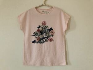 ☆ ユニクロ　ポール&ジョーコラボ　キャットTシャツ 160 ピンク　☆ カットソー