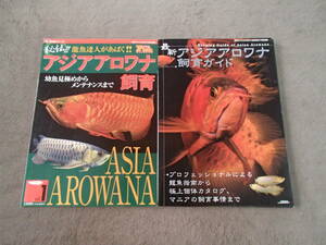  monthly fish magazine separate volume ..!! Asia osteoglossids breeding osteoglossids . dragon gold dragon publication book