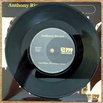 Anthony Rivers/Caroline,No/em Records/”7/Brian Wilson/Beach Boys_画像4