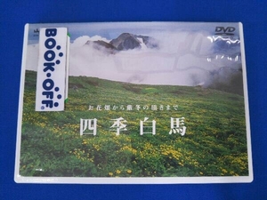 DVD 四季 白馬