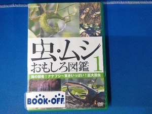 DVD insect *msi interesting illustrated reference book 1 forest. ninja!nanafsi~ surprise fully! huge insect 