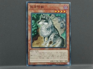 遊戯王デュエルモンスターズ 孤高除獣 ノーマルレア SASTJP030