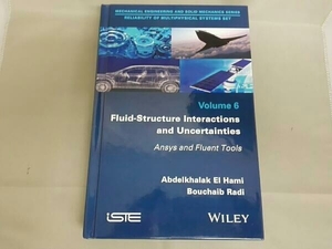 Fluid-Structure Interactions and Uncertainties