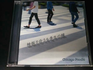 Chicago Poodle CD 袖振り合うも多生の縁