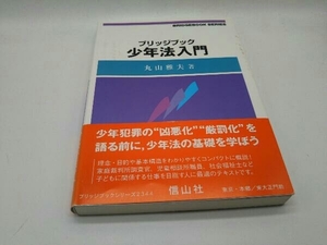 カバーに傷みあり。 ブリッジブック少年法入門 丸山雅夫