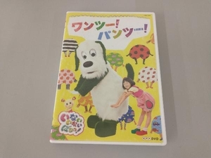 DVD NHK いないいないばあっ! ワンツー!パンツー!