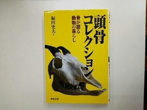 頭骨コレクション 福田史夫