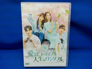 DVD 愛はビューティフル、人生はワンダフル DVD-BOX5