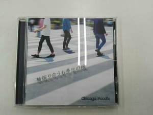 Chicago Poodle CD 袖振り合うも多生の縁