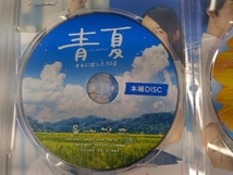 青夏 きみに恋した30日 豪華版(Blu-ray Disc)_画像3