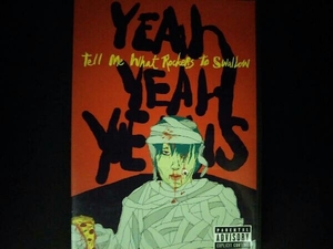 輸入盤DVD Yeah Yeah Yeahs! /Tell Me What Rockers To Swallow