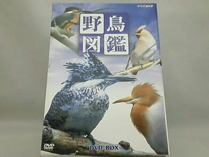 DVD； 野鳥図鑑 DVD-BOX