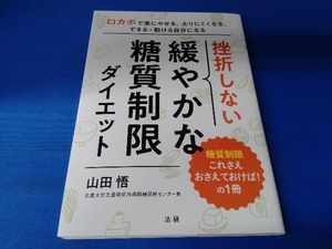 挫折しない緩やかな糖質制限ダイエット 山田悟