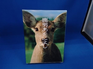 DVD 鹿男あをによし DVD-BOX ディレクターズ・カット完全版　玉木宏