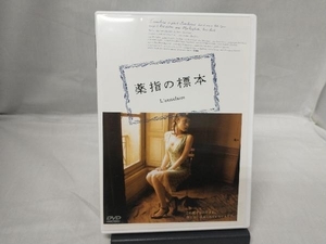 DVD 薬指の標本 SPECIAL EDITION