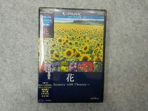 【新品未開封】DVD 『花~Scenery with Flowers~』V-music03