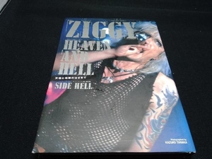 ZIGGY(Side hell) 田中和子